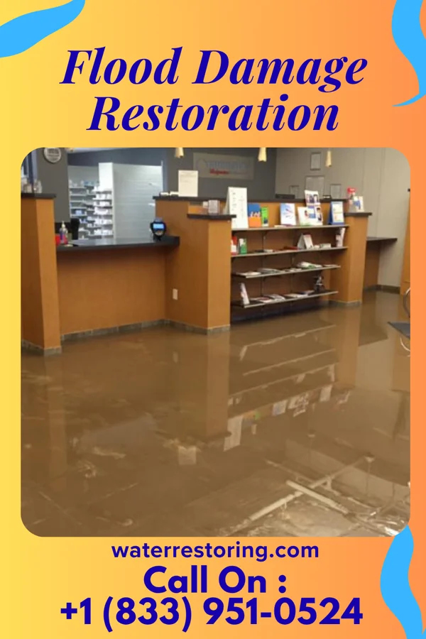 Flood Damage Restoration in Ridgefield, IL