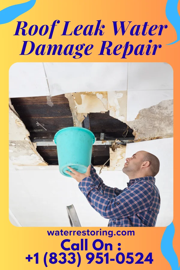 Roof Leak Water Damage Repair in Ridgefield, IL